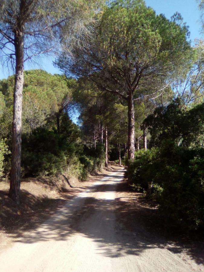 Appartamento Vacanze Sardegna Siniscola Ngoại thất bức ảnh